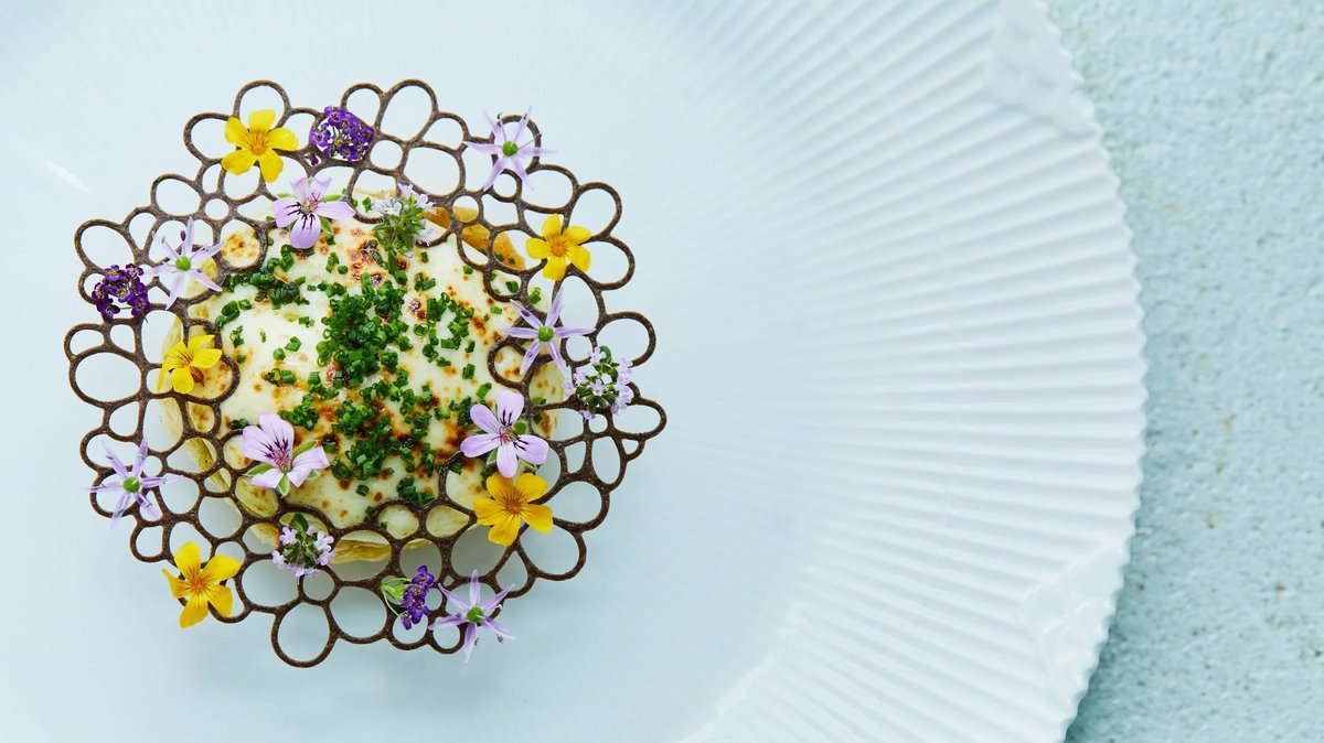 Top Rated Fine Dining Copenhagen With Tasting Menu Highlights
