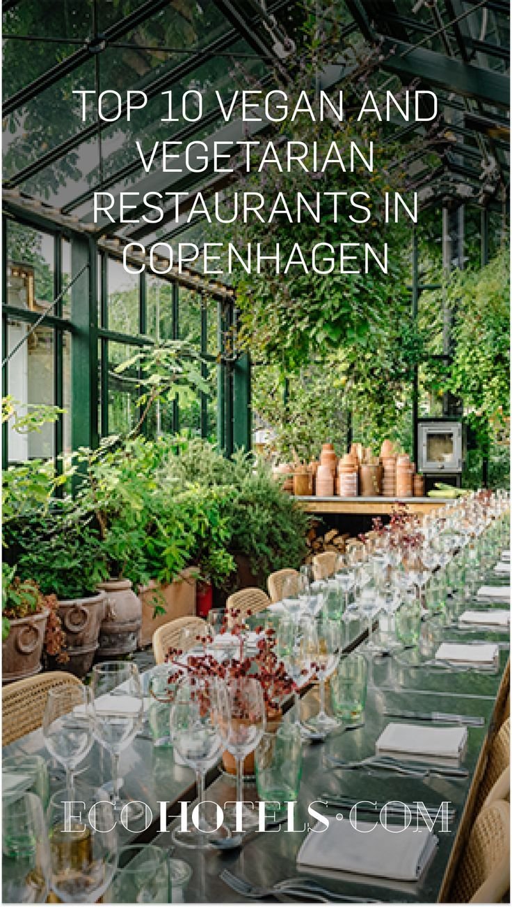 Vegetarian & Vegan Restaurants Copenhagen Offer Top Plant-Based Dining